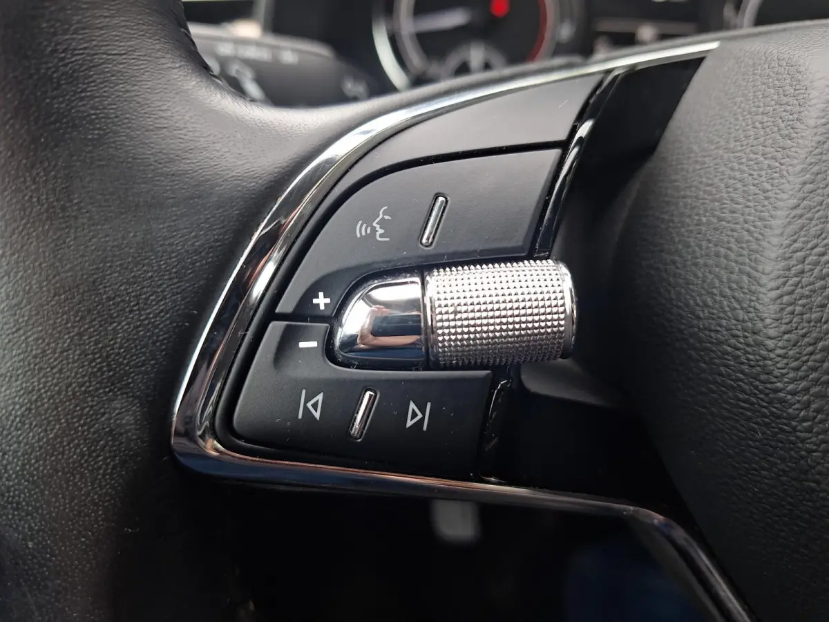 TSI 110pk DSG Sport (Camera,Clima,LM,Keyless)