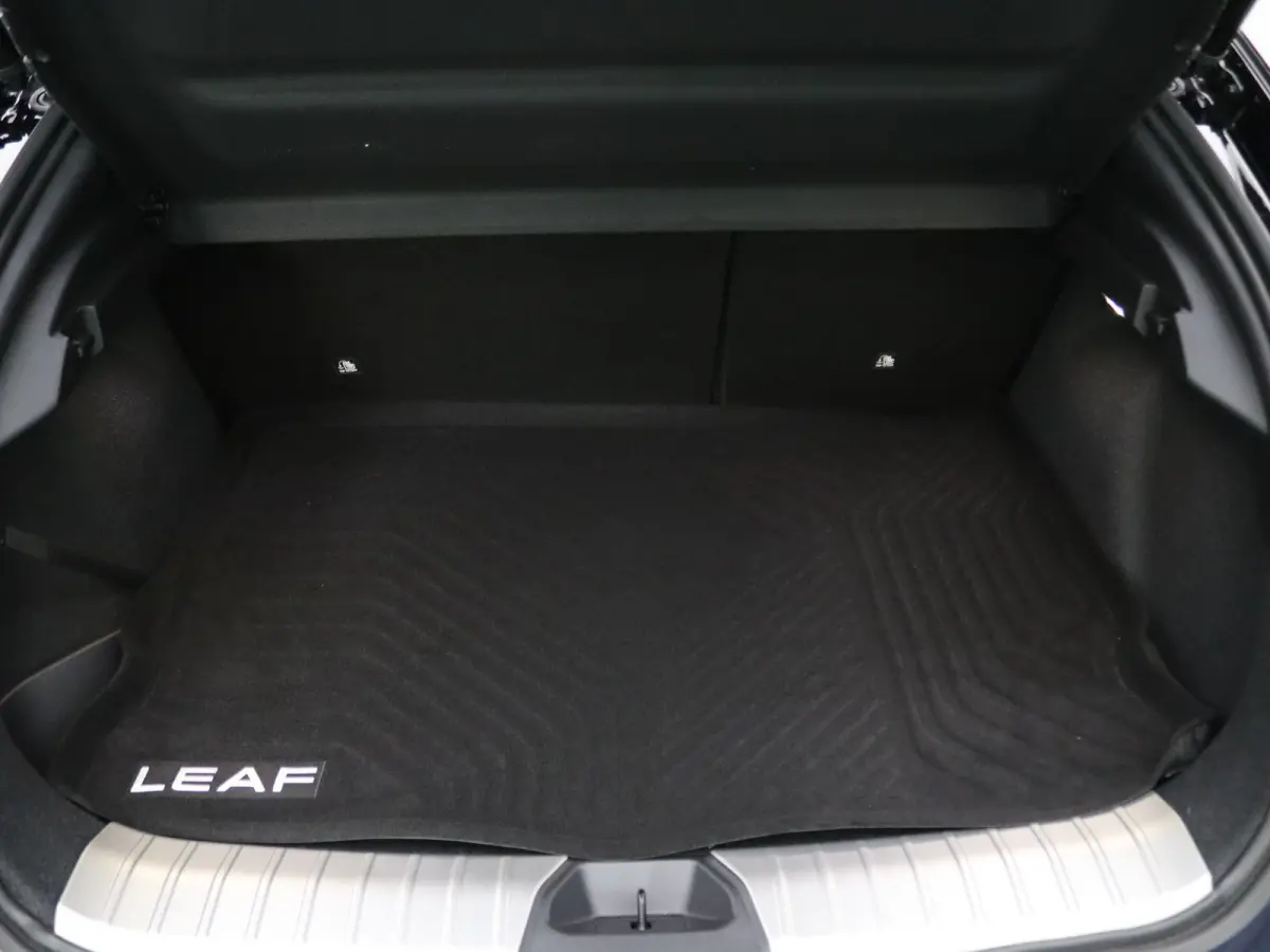 Evolve 75 kWh Apple Carplay/Android Auto | Panoramadak