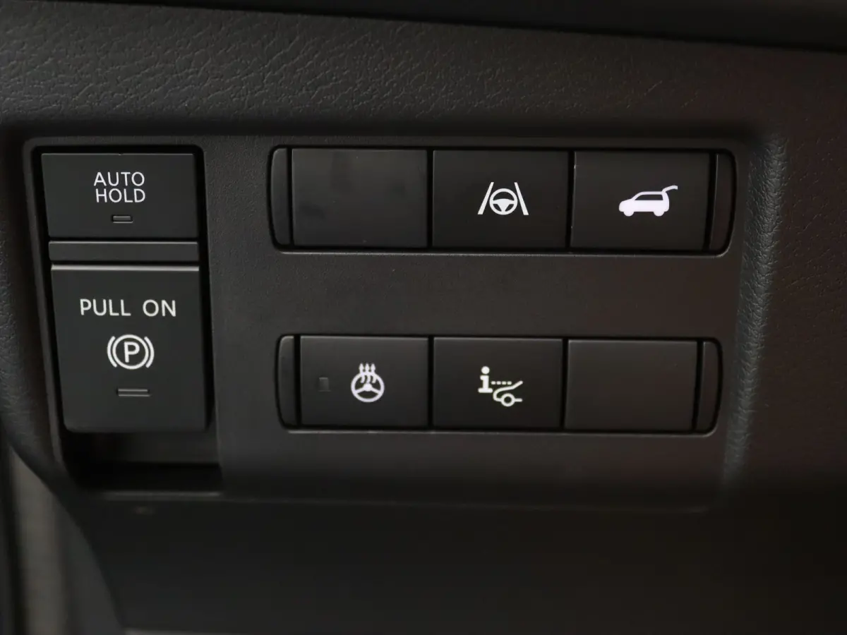 Evolve 75 kWh Apple Carplay/Android Auto | Panoramadak
