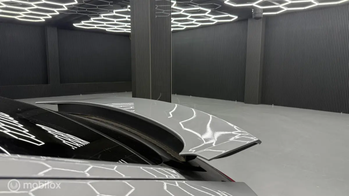 2.9 4 E-Hybrid Platinum Edition