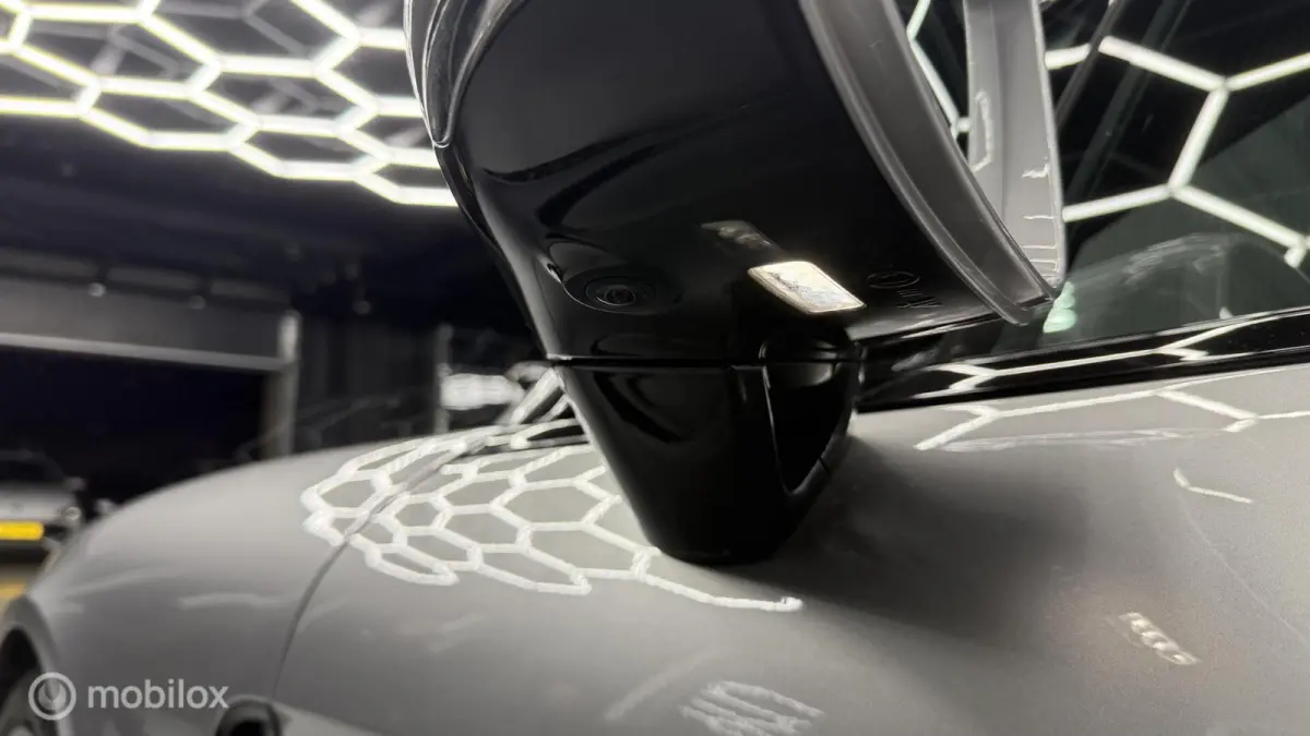 2.9 4 E-Hybrid Platinum Edition