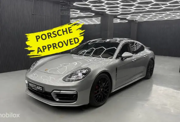 2.9 4 E-Hybrid Platinum Edition