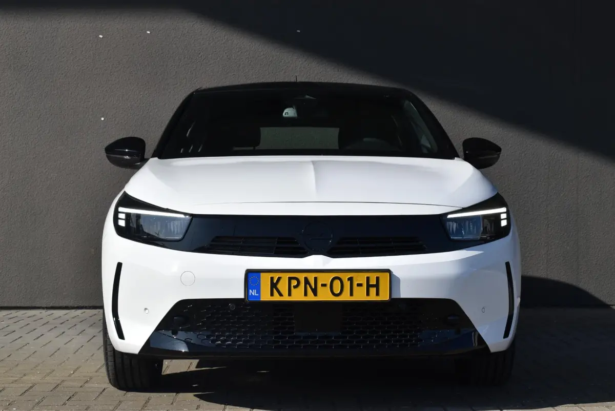 Electric Long Range GS 51 kWh | Climate | Winterpakket | PDC | LMV | Apple CarPlay/Android Auto |  2+6 jaar garantie |