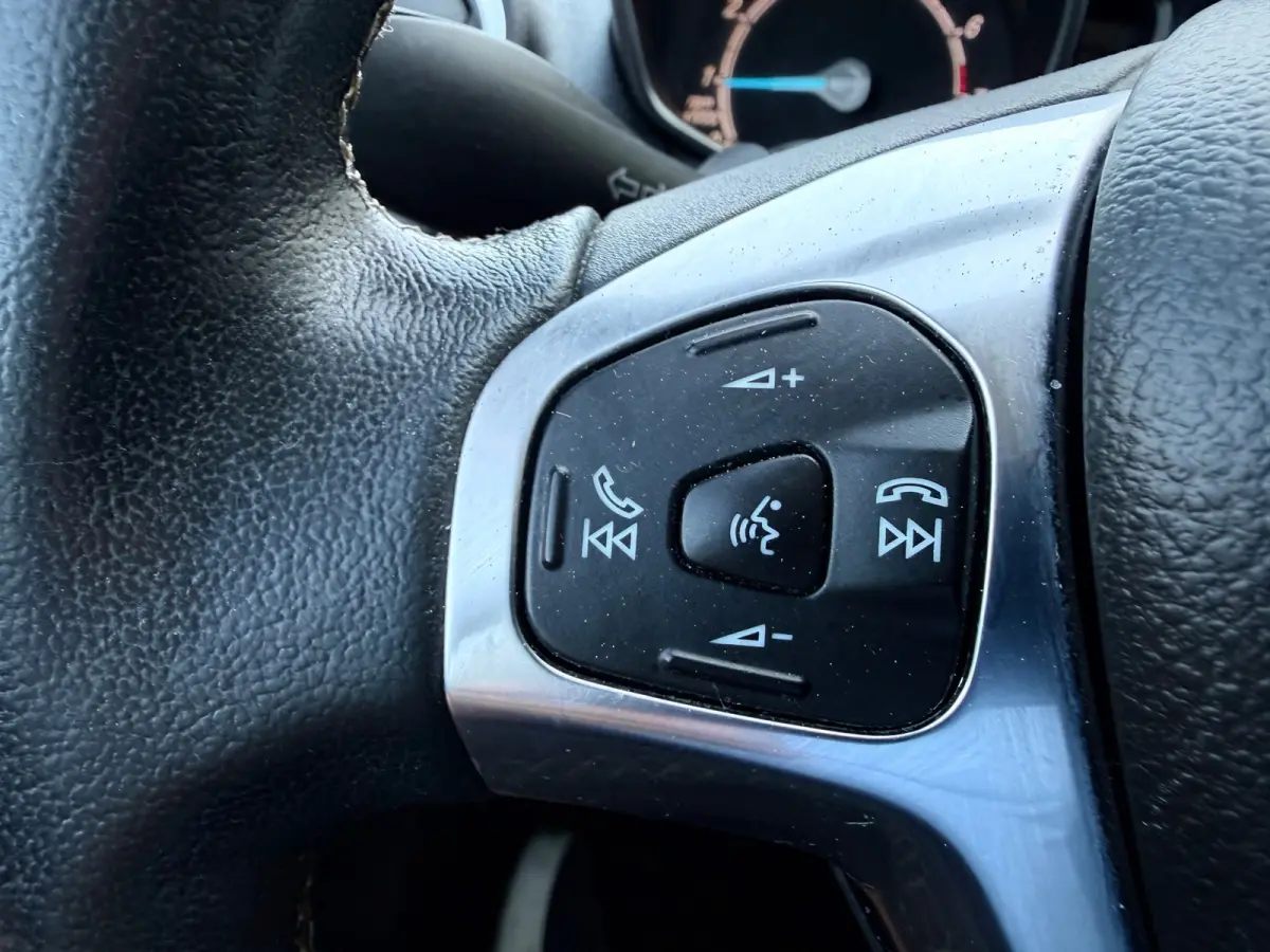 1.0 EcoBoost Titanium Airco Cr-Contr Navigatie Lm Velgen