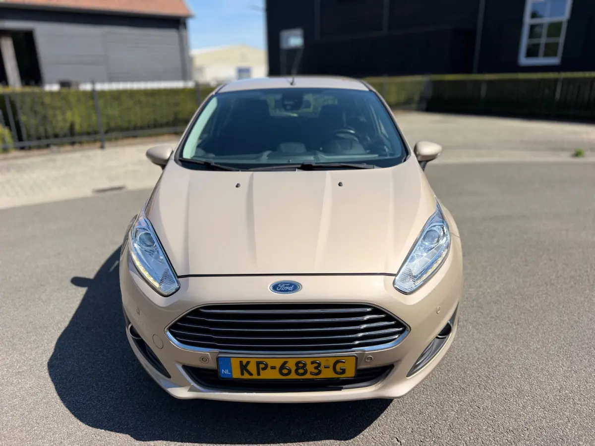 1.0 EcoBoost Titanium Airco Cr-Contr Navigatie Lm Velgen