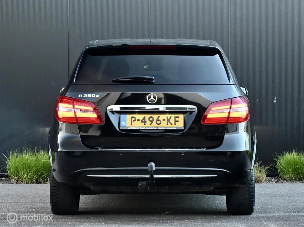250 e Prestige I Electrisch I Trekhaak I