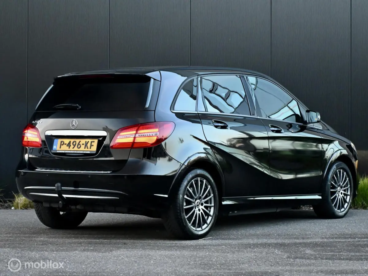 250 e Prestige I Electrisch I Trekhaak I