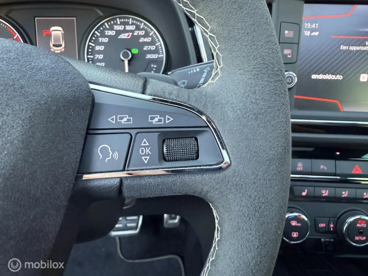 2.0 TSI CUPRA 300 4DRIVE Kuipstoel/Pano.dak/Carplay