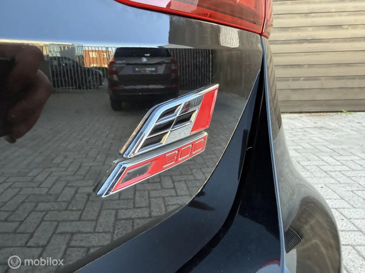 2.0 TSI CUPRA 300 4DRIVE Kuipstoel/Pano.dak/Carplay