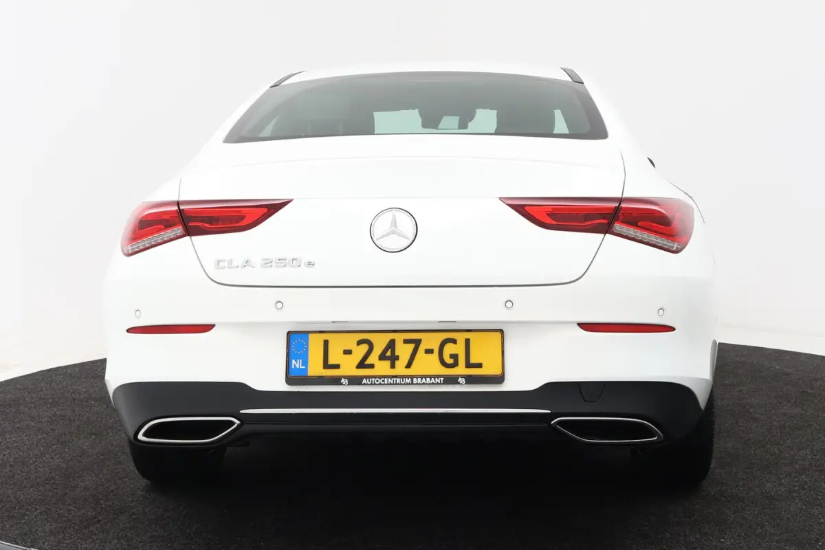 250 e Business Solution Luxury Limited (SFEERVERLICHTING, CAMERA, PDC, LED, 1e EIGENAAR)