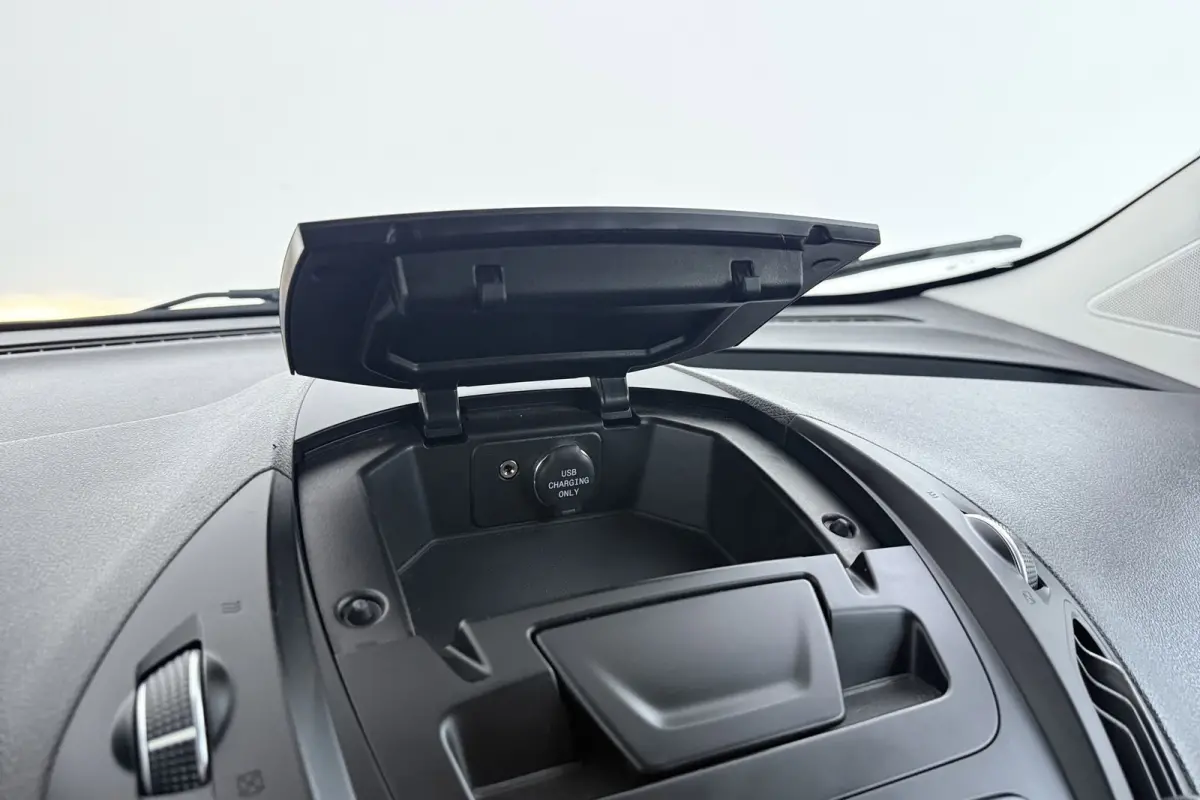 1.0 Titanium | Trekhaak | Climate Control | Stoelverwarming | 16" Velgen |