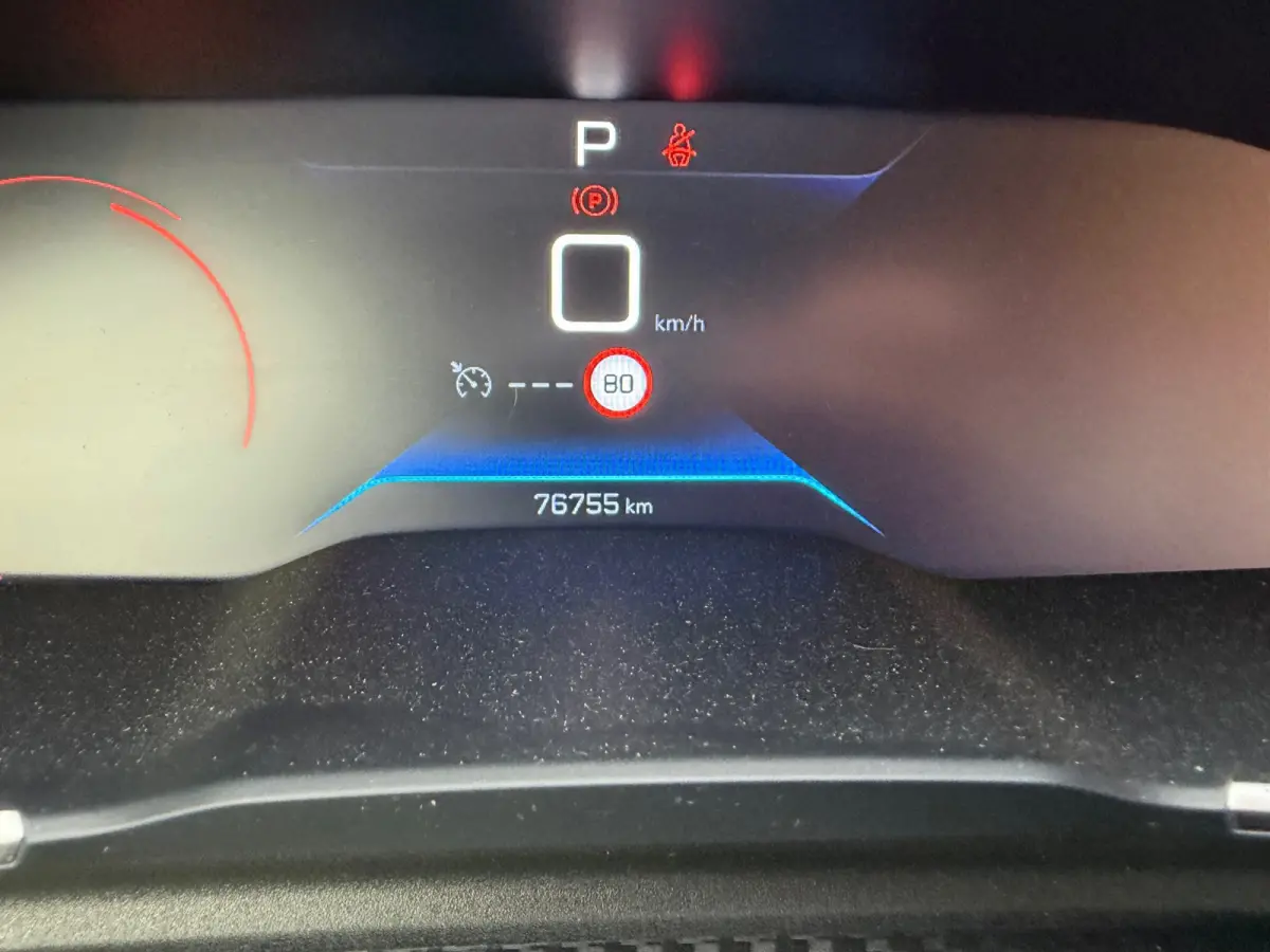 1.2 PureTech Allure m22 NAVI|CAMERA|CLIMATE|SPORTVELGEN