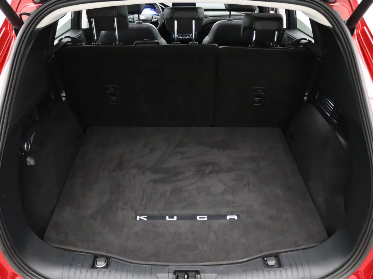 225pk PHEV Vignale Apple Carplay/Android Auto | Climate