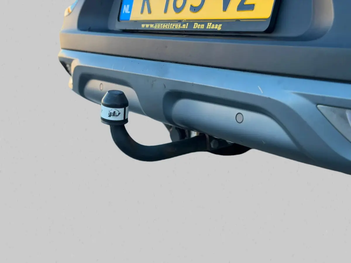 1.3 TCe Intens(Goed OnderH, Trekhaak, StoelV, Navi, Parkeersensoren V+A, Etc)