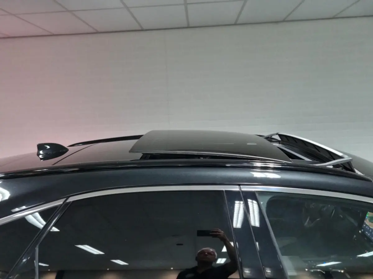 450h+ Plug-in Hybrid F Sport Design / Panoramadak