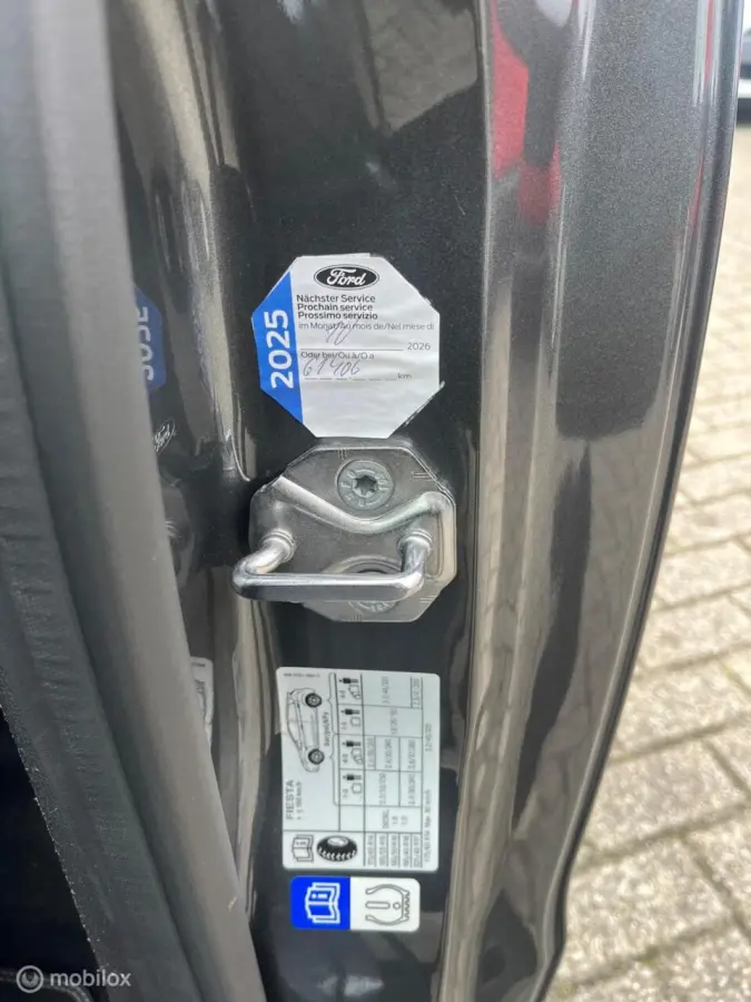 1.0 EcoBoost Titanium /AUTOMAAT