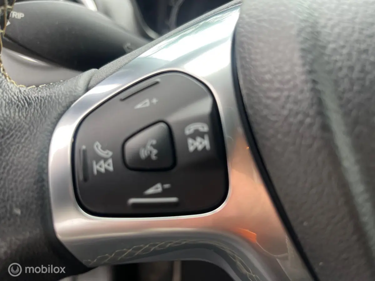1.0 EcoBoost Titanium /AUTOMAAT