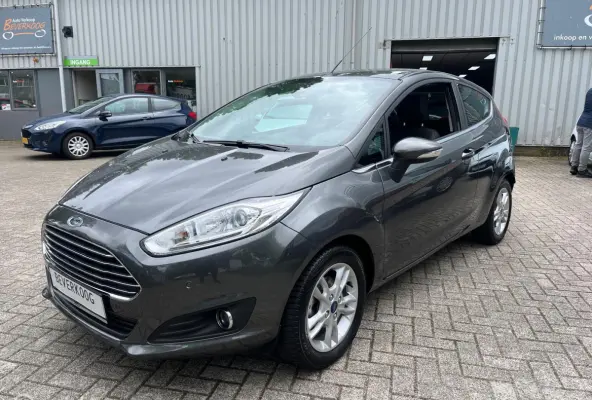 1.0 EcoBoost Titanium /AUTOMAAT