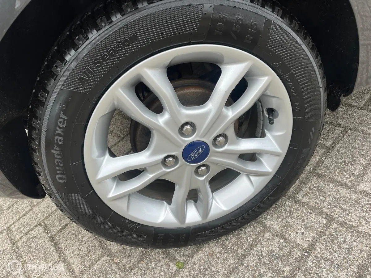 1.0 EcoBoost Titanium /AUTOMAAT