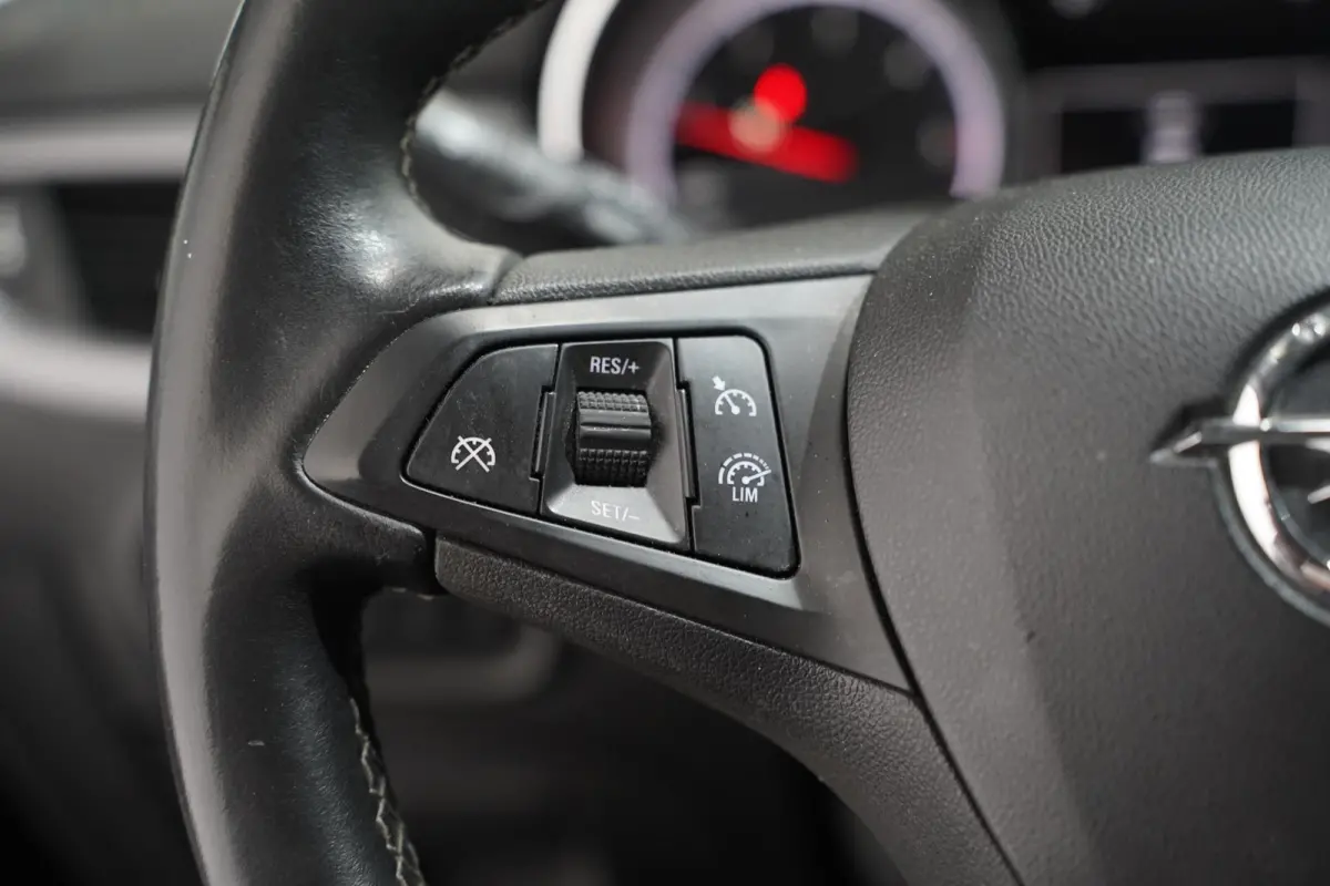 1.6 CDTI Online Edition Navi PDC v+a Apple Carplay NAP