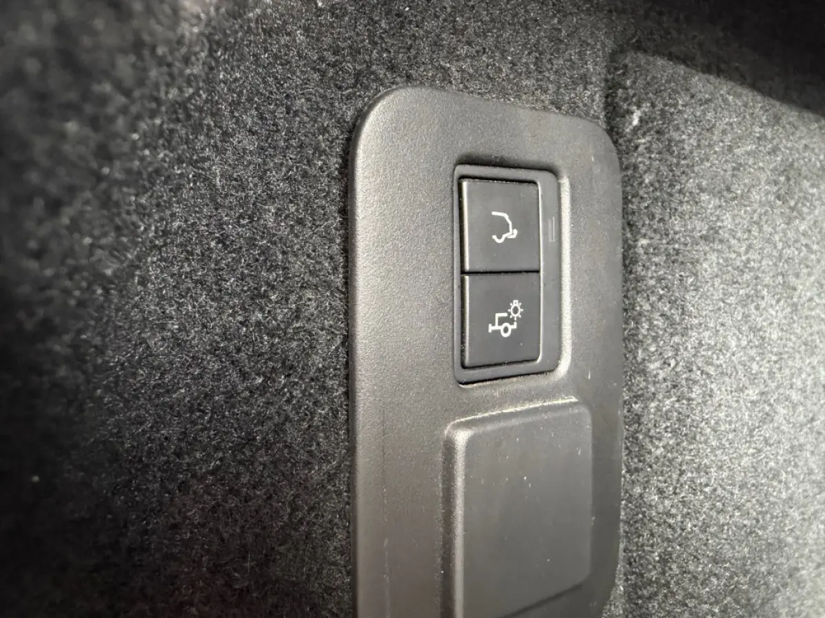 1.5 P300e AWD SE Leder LED Meridian Camera e.Trekhaak NL-auto