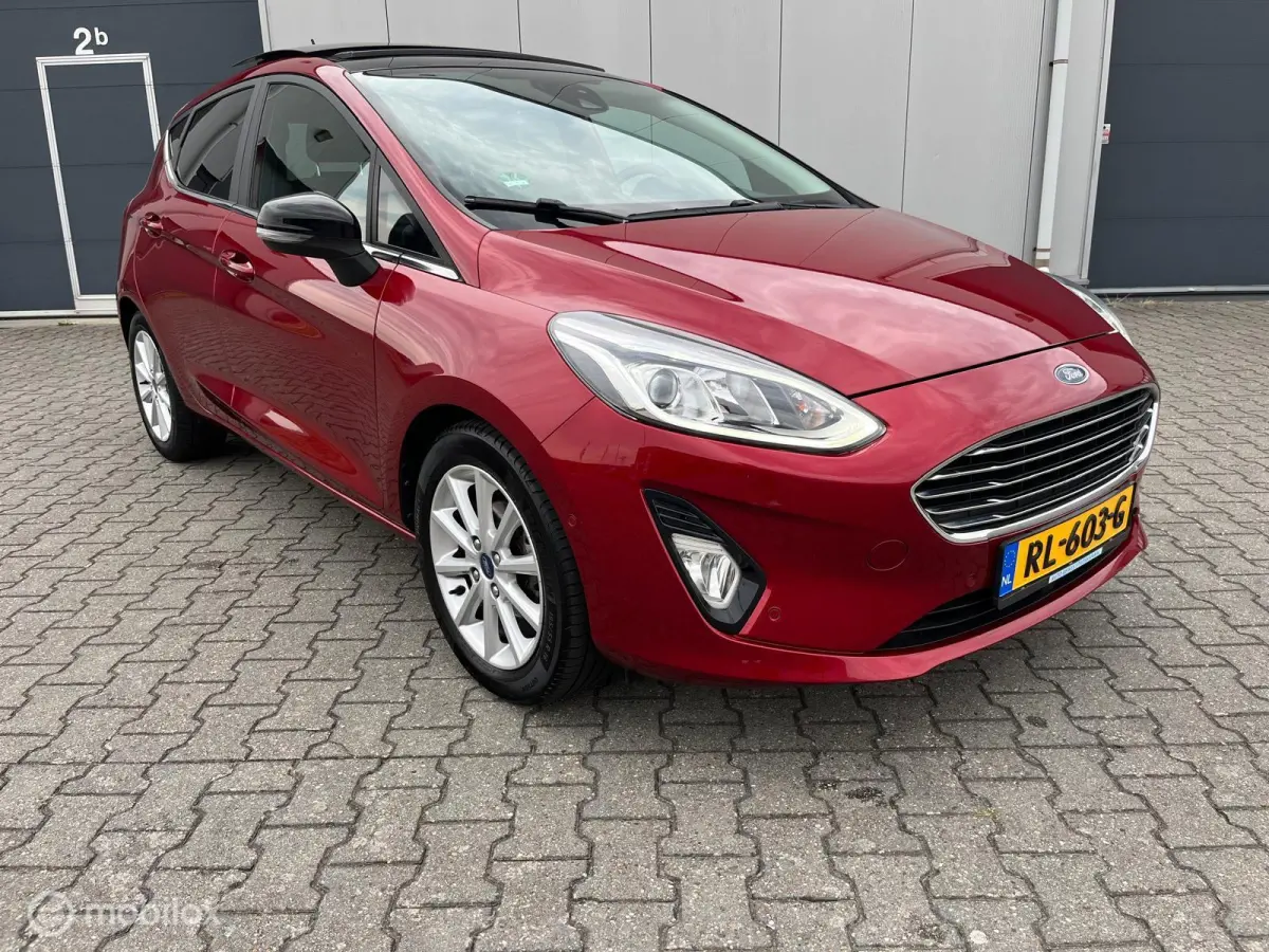 1.0 EcoBoost Titanium met panodak