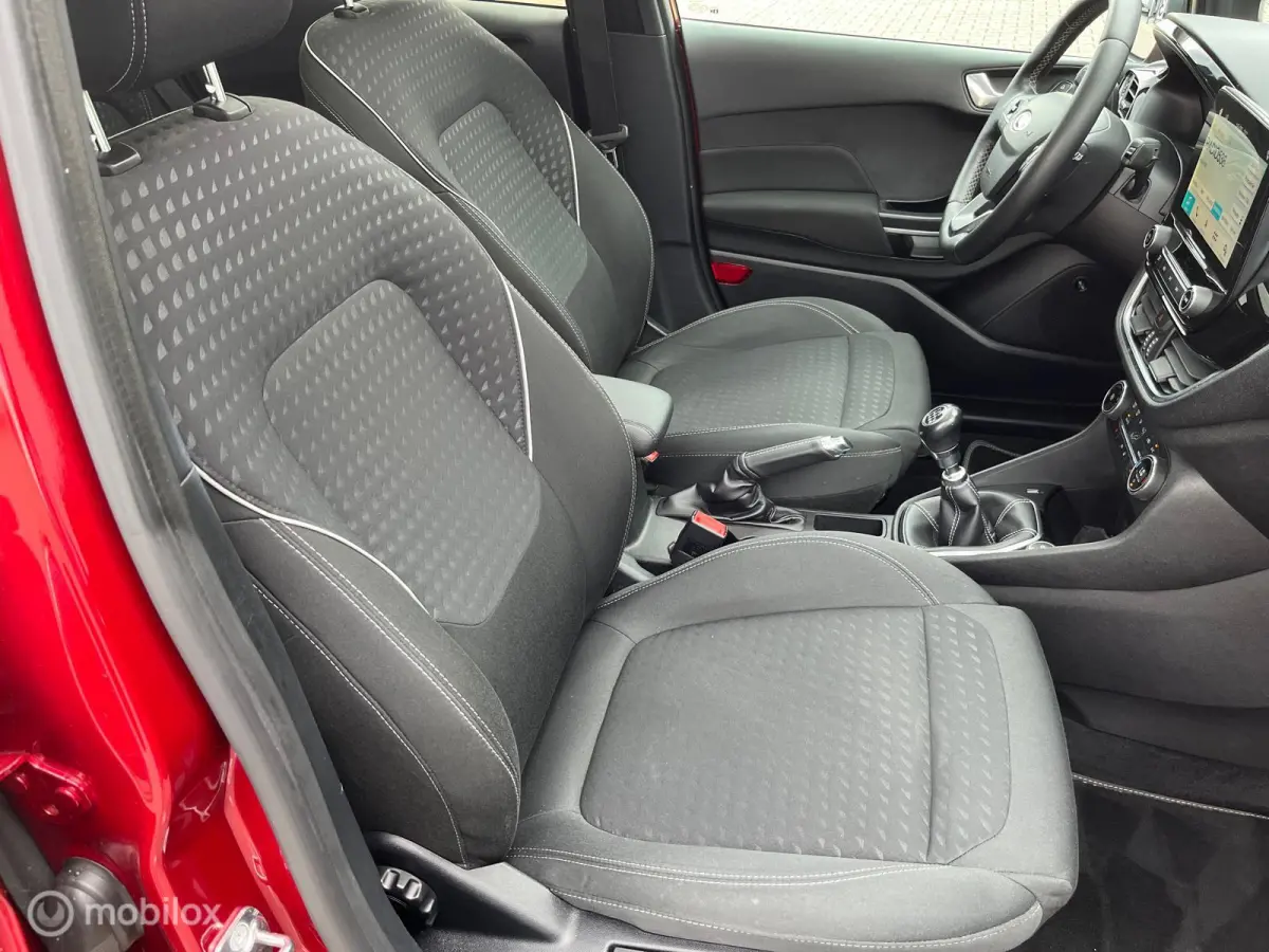 1.0 EcoBoost Titanium met panodak