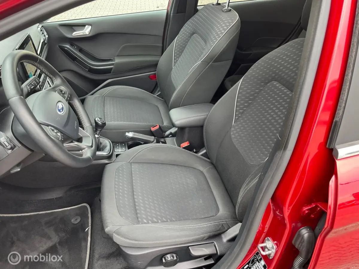 1.0 EcoBoost Titanium met panodak