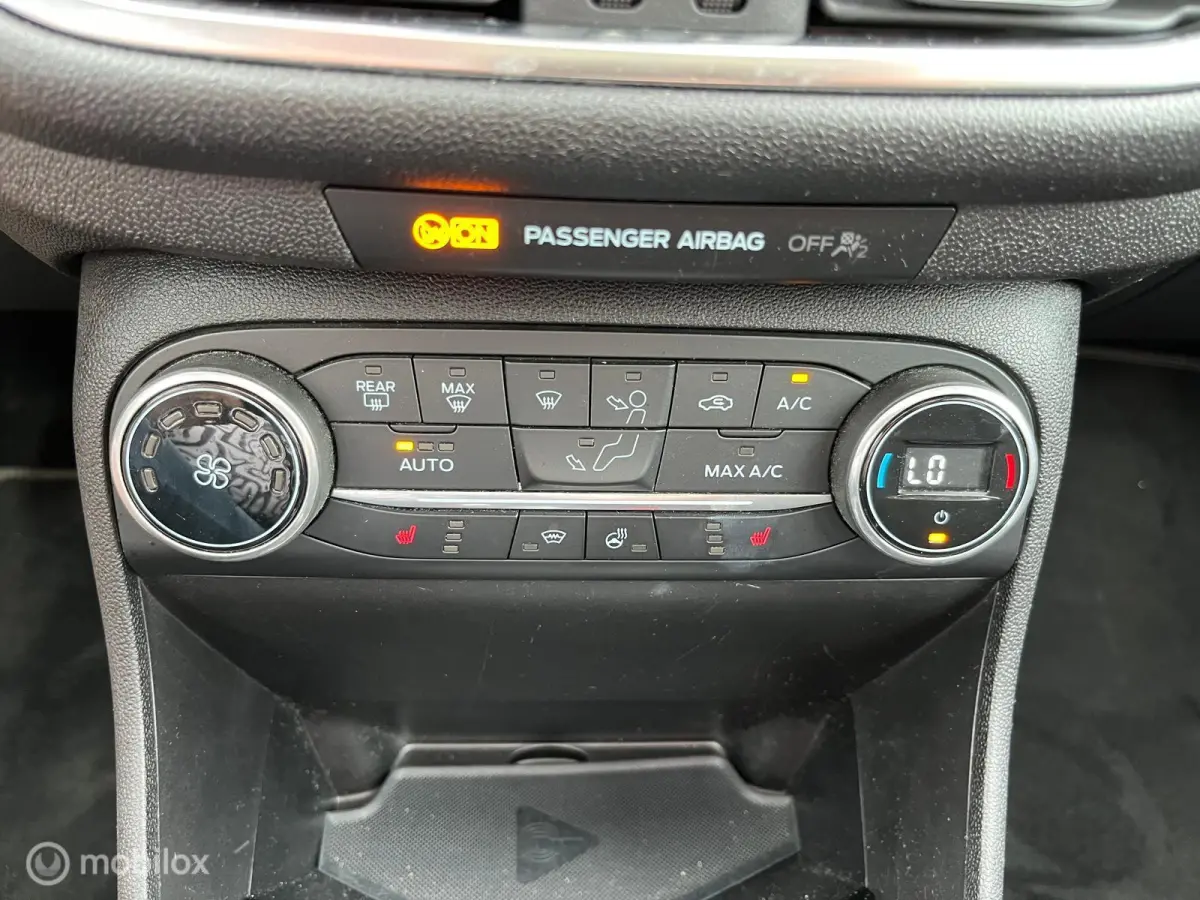 1.0 EcoBoost Titanium met panodak