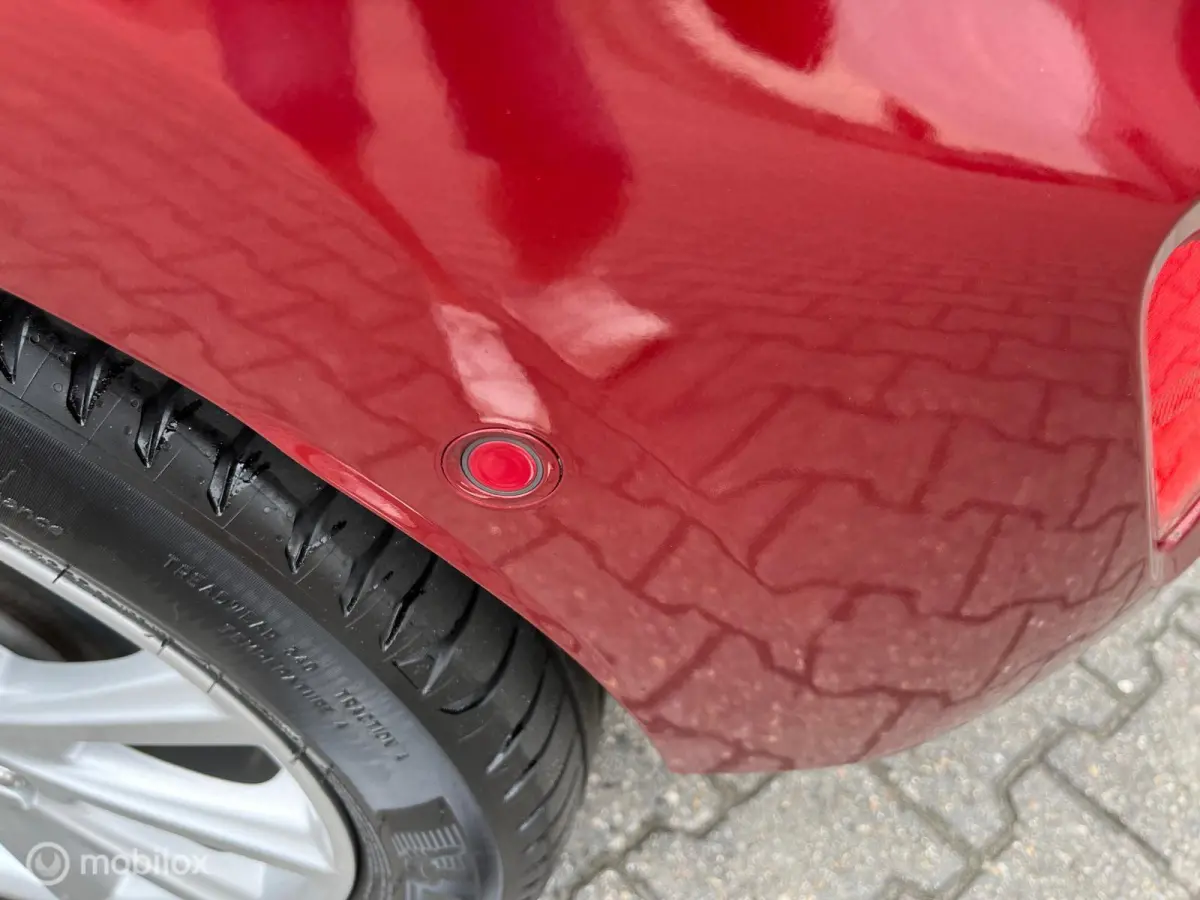 1.0 EcoBoost Titanium met panodak