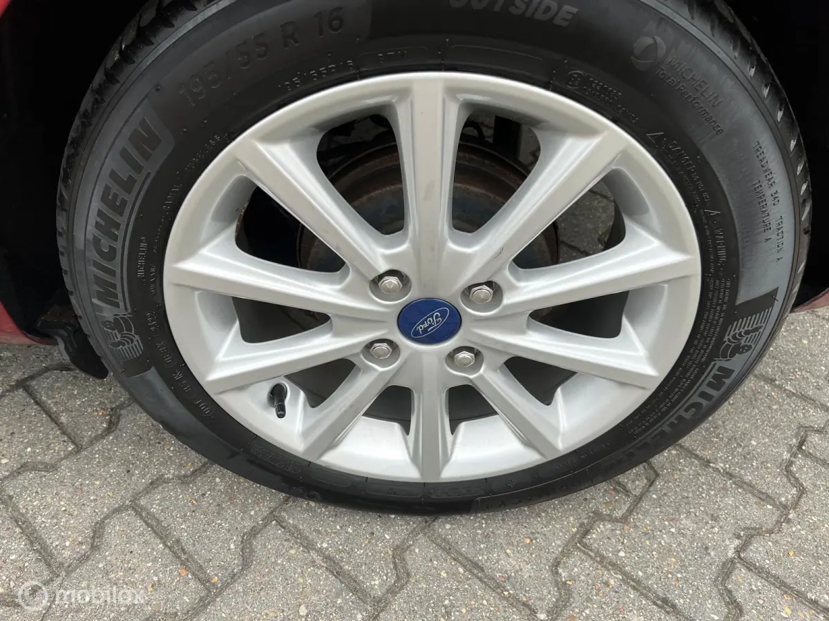 1.0 EcoBoost Titanium met panodak