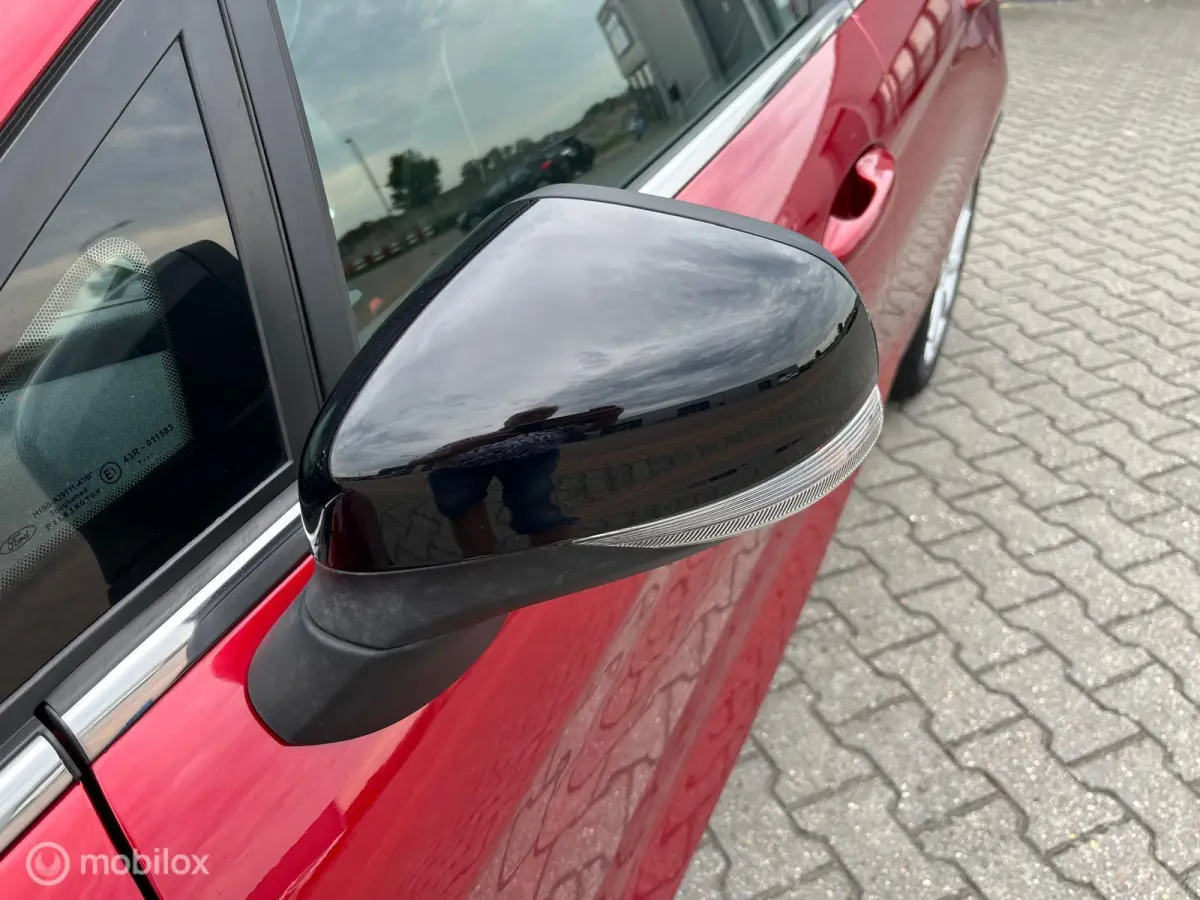 1.0 EcoBoost Titanium met panodak