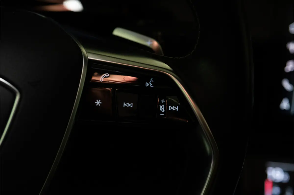 S Quattro 95 kWh 504PK | Pano | Sfeer | B&O | ACC | Leder | 12 MND Garantie
