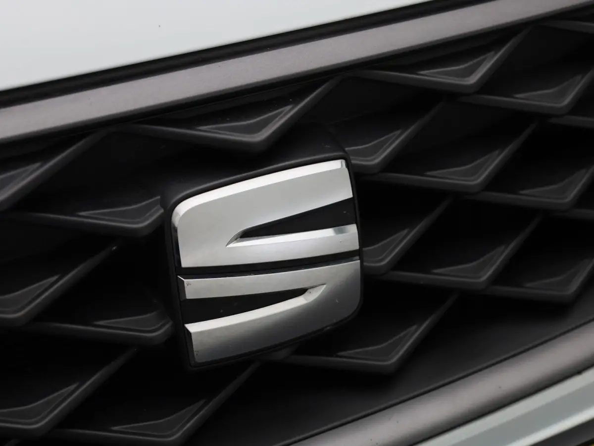 1.0 TSI FR Business Intense | ACHTERUITRIJCAMERA | STOELVERWARMING | APPLE CARPLAY - ANDROID AUTO | CLIMATE CONTROL | TREKHAAK |