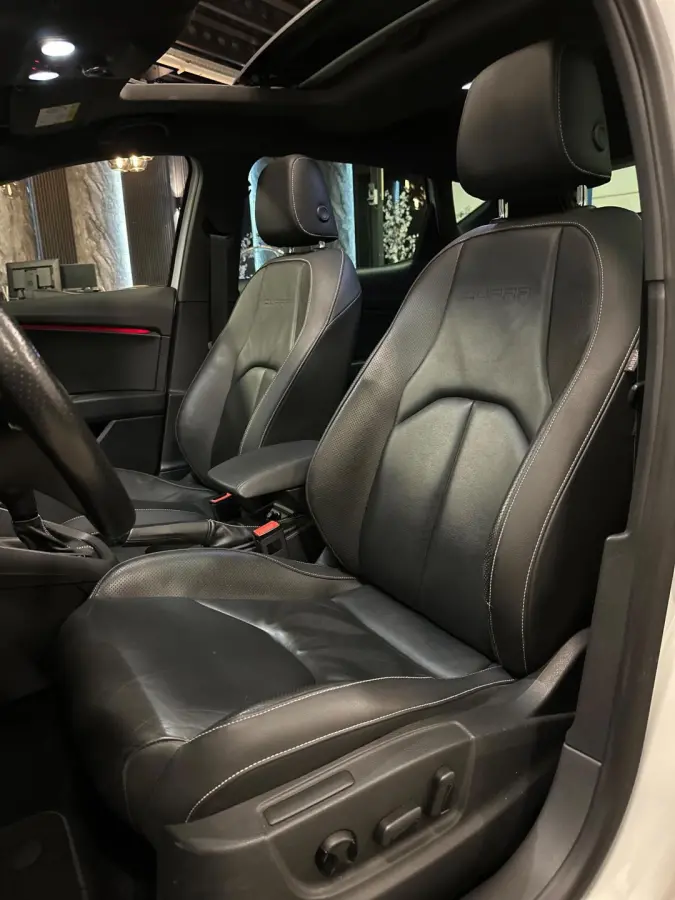 2.0 TSI Cupra 280 PANO/LEDER/ACC/FULL