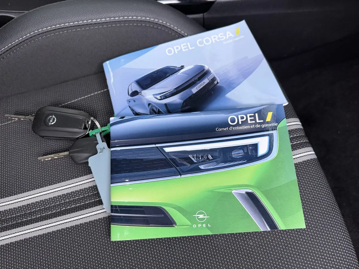 1.2 Turbo GS | Achteruitrijcamera | Apple Carplay/Android Auto|telefoonintegratie premium | Cruise control