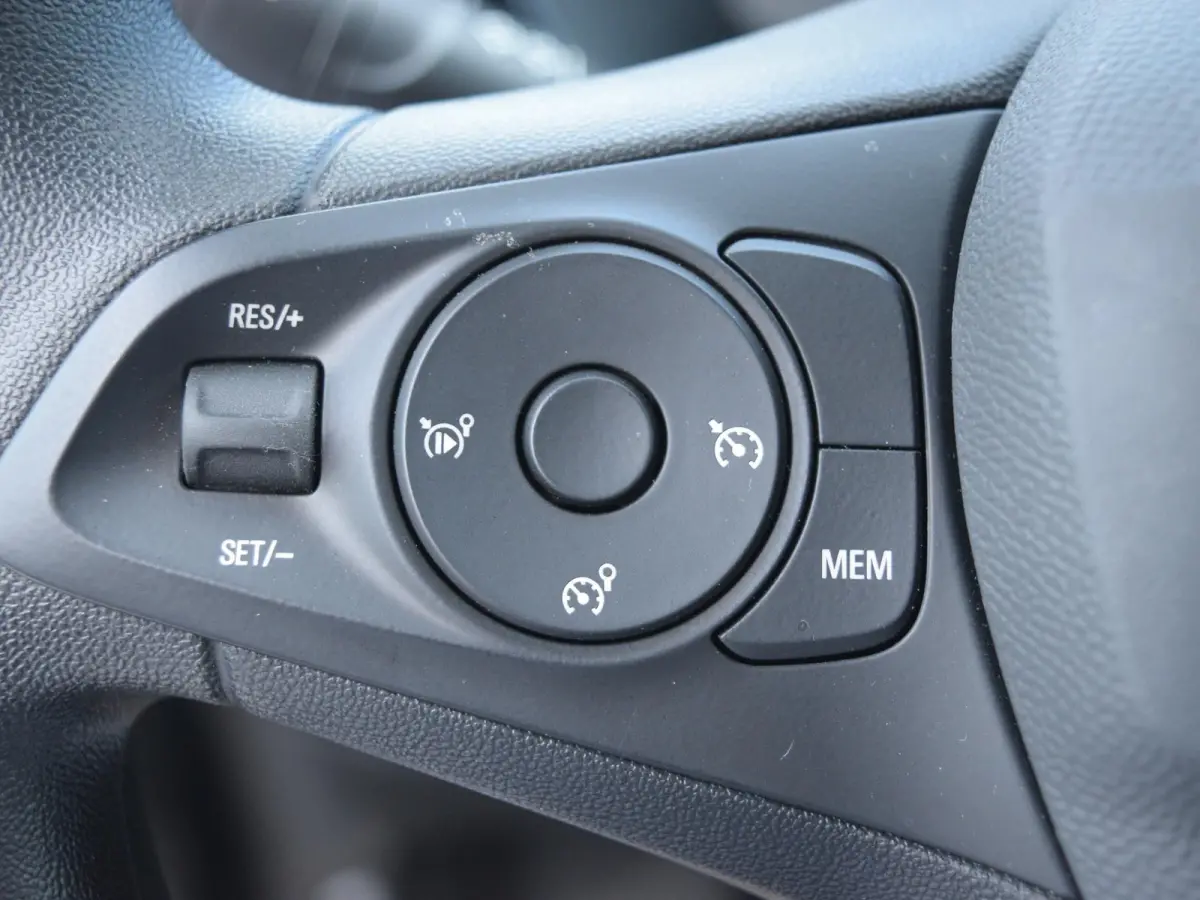 Electric Long Range Business Edition 51 kWh PDC voor / achter l Apple Carplay/Android Auto l Accu conditie 98,6%
