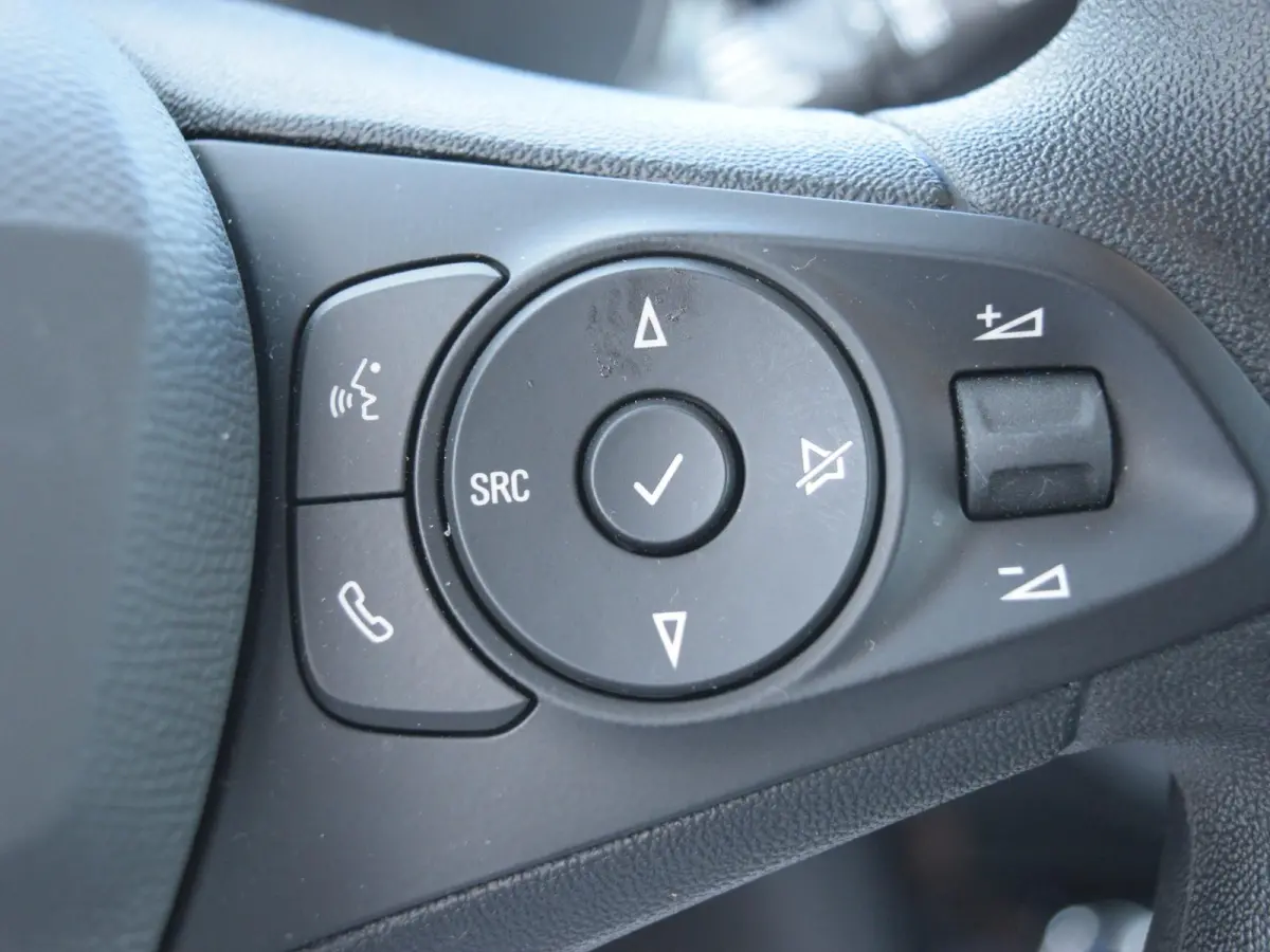 Electric Long Range Business Edition 51 kWh PDC voor / achter l Apple Carplay/Android Auto l Accu conditie 98,6%