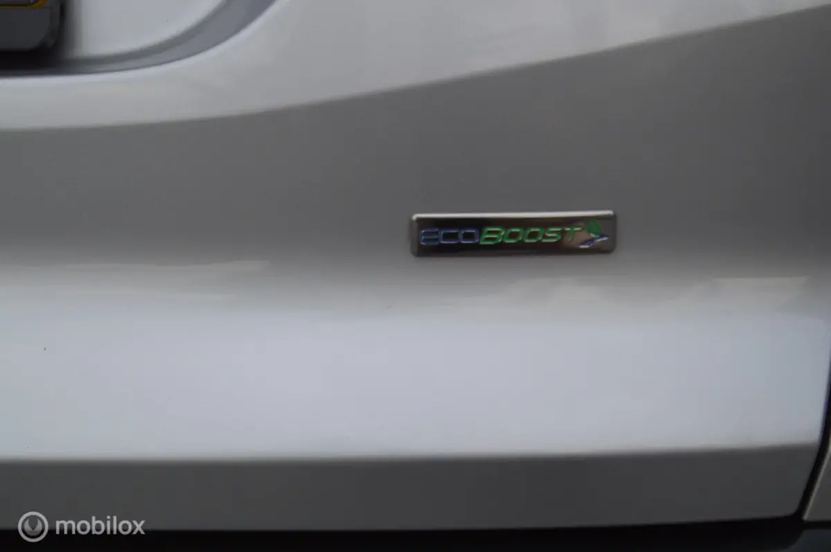 1.0 Lease Edition NIEUWE RIEM, GARANTIE