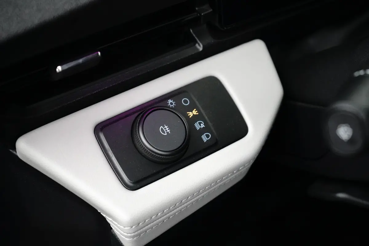 Premium 44 kWh FWD 168pk | Stoelverwarming | B&O Audio | Apple Carplay | Camera | Adap. Cruise