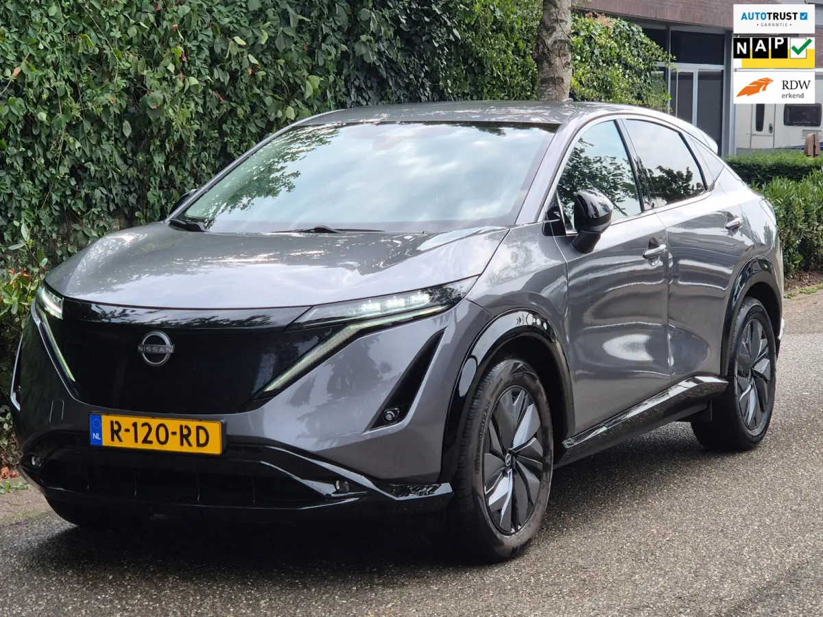 Advance 66 kWh SOH 98% volle optielijst 360* camera ACC Line Assist Dodehoek detectie CarPlay Keyless 1e Eig NL NAP