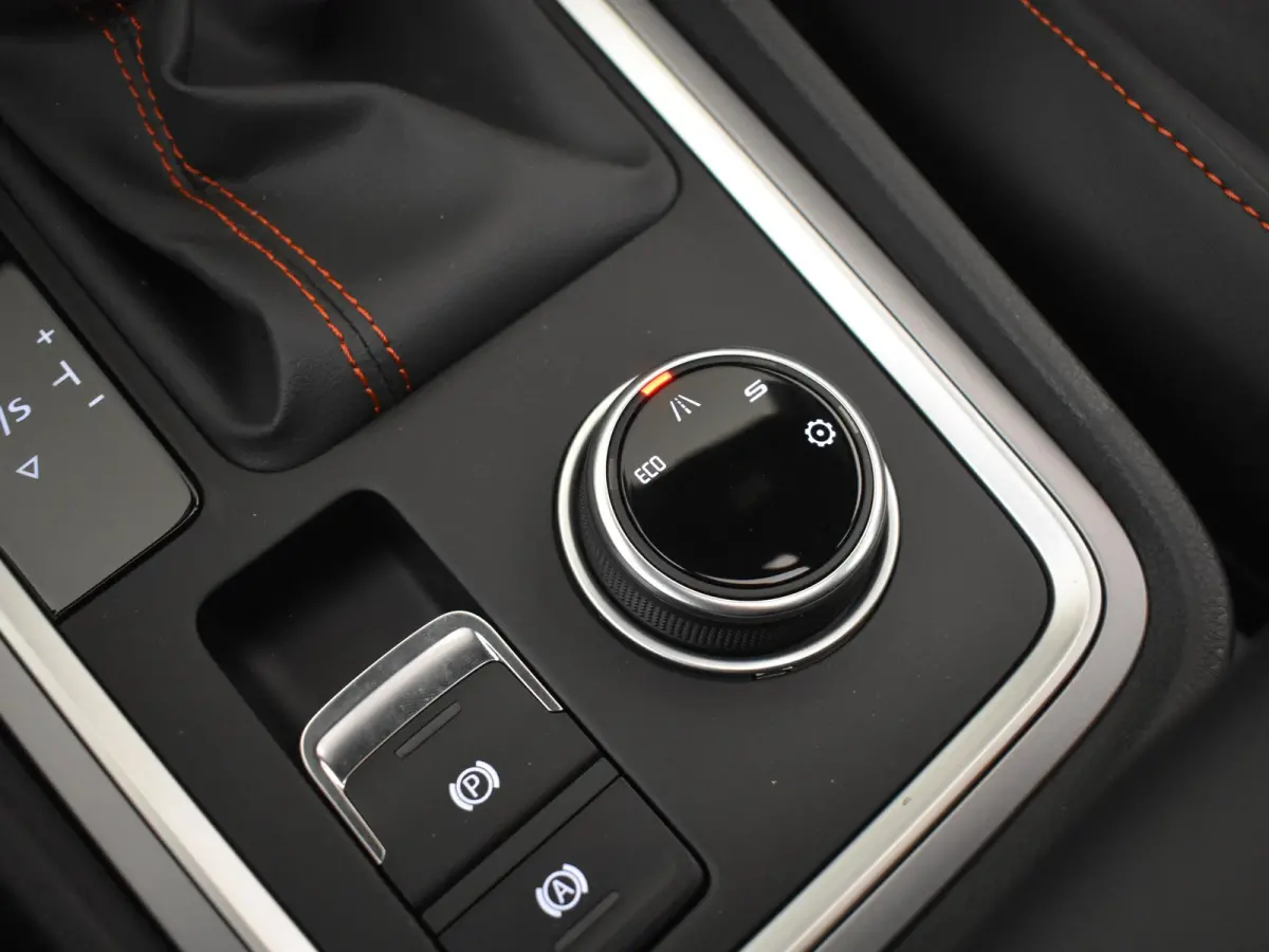 FR Business Intense | Achteruitrijcamera | Airconditioning automatisch met 2-zone-temperatuurregeling | Centrale vergr. met afstandsbediening en Keyless Entry&Go