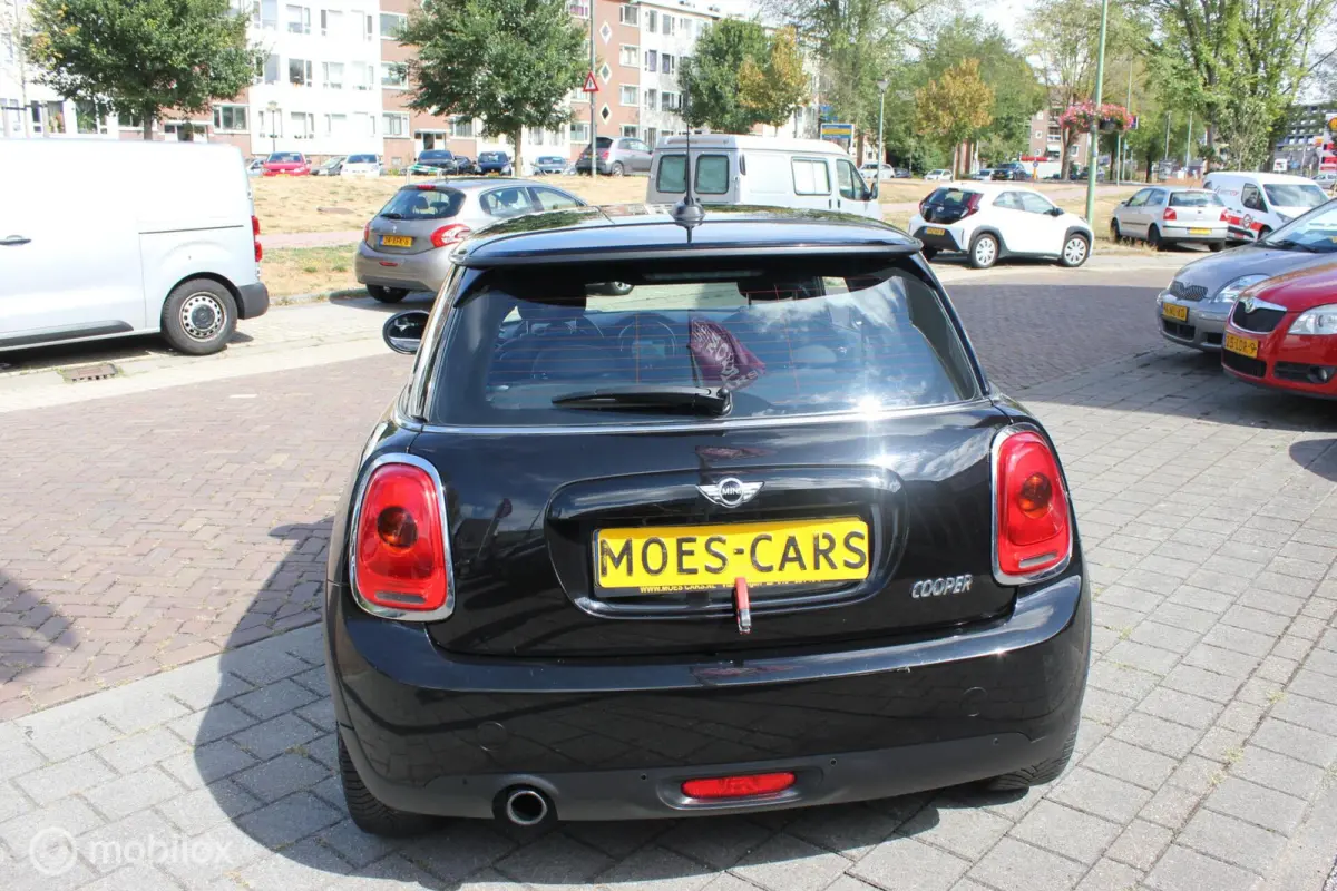1.5 Cooper Business