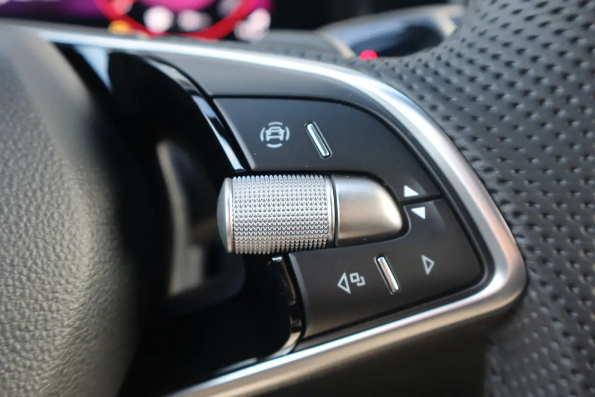 Sportline Business | Achteruitrijcamera | Crew Protect Assist | Cruise control met speedlimiter
