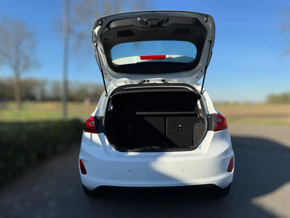 1.0 EcoBoost Titanium NIEUWE RIEM / WINTERPACK / INPARKEREN / LMV / CARPLAY / NAVIGATIE / ACC / CAMERA