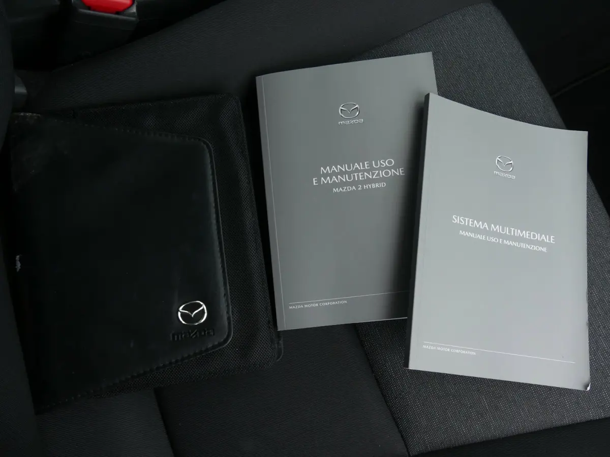 1.5 Pure / Climate Control / DAB+ / Carplay