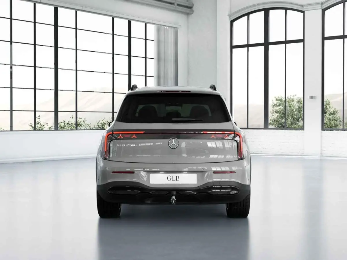 electric 250+ Business Solution Luxury 85.5 kWh