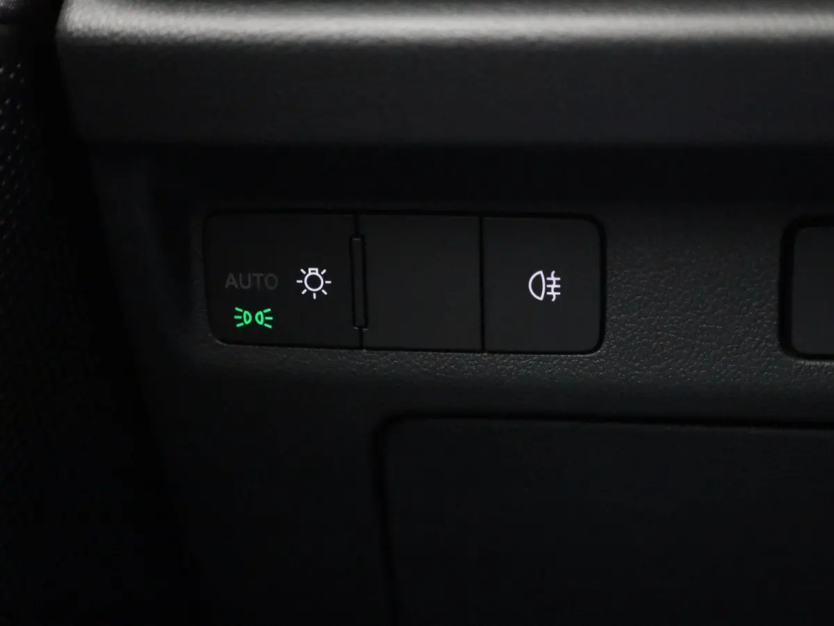 60 91% SOH | Achteruitrijcamera| Cruise Control | Stoel + Stuurverwarming | Lane Assist | Keyless |