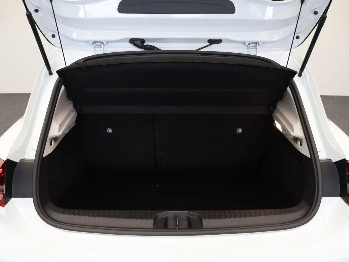 1.0 TCe Zen | 1e Eigenaar! | Airco | Cruise Control | Lichtmetalen velgen | ABD Onderhouden! |