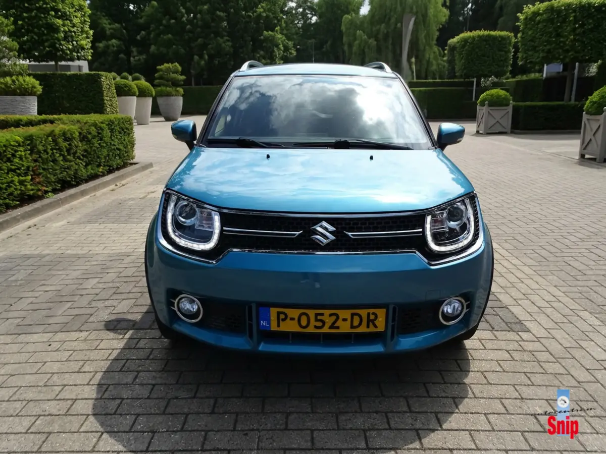 1.2 Rhino Automaat.